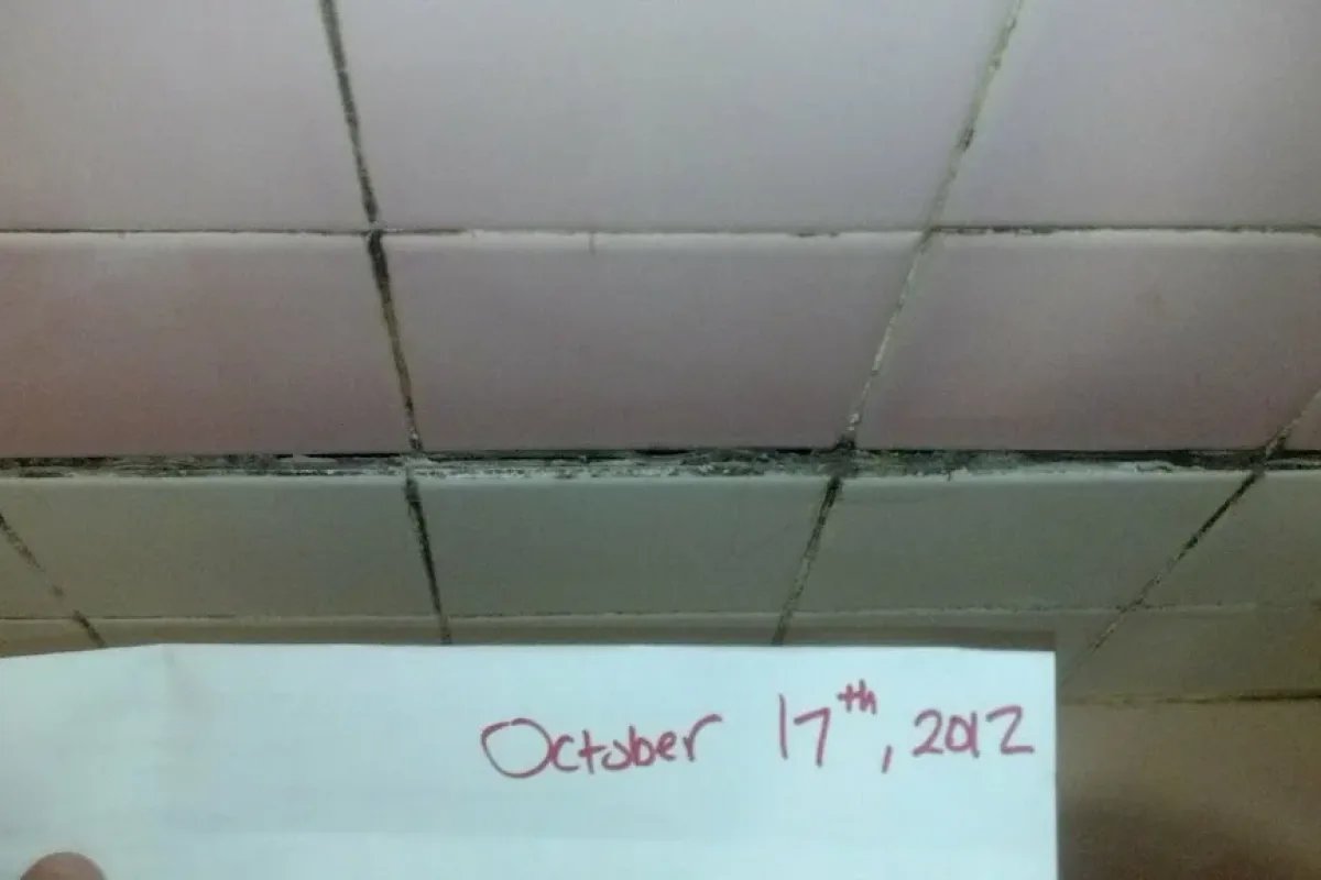 Cómo reducir la humedad en un baño sin ventana